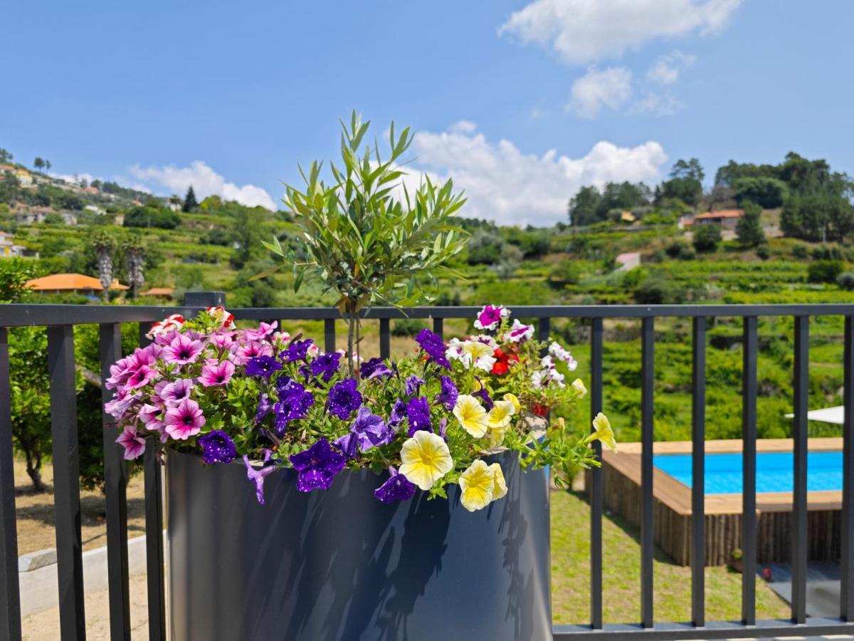 Casa Da Milinha - Villa With A Pool Near Rio Douro Santa Cruz do Douro 外观 照片