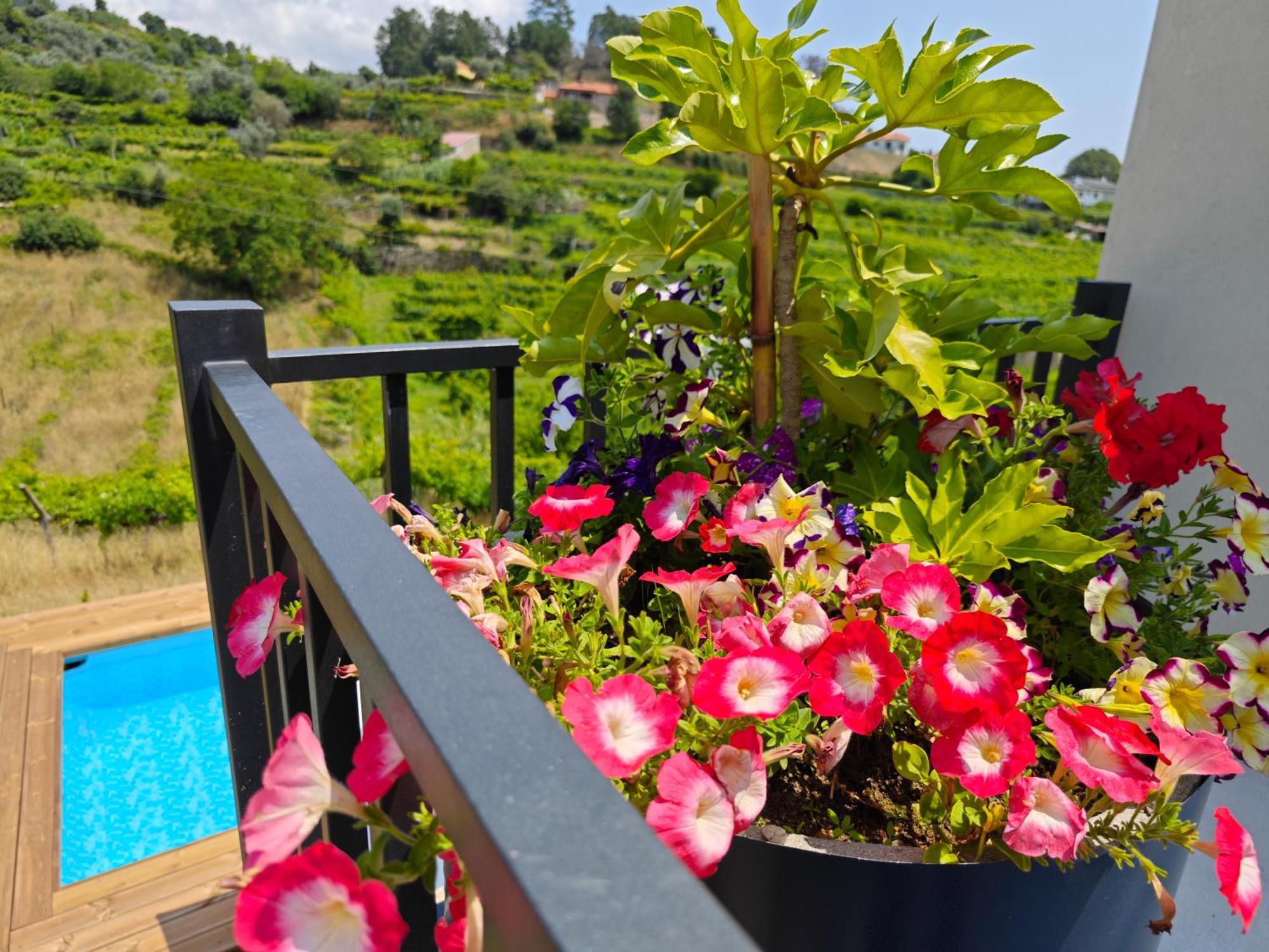 Casa Da Milinha - Villa With A Pool Near Rio Douro Santa Cruz do Douro 外观 照片