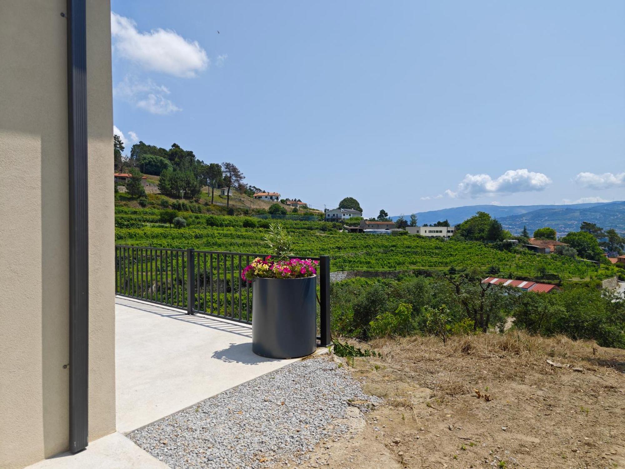 Casa Da Milinha - Villa With A Pool Near Rio Douro Santa Cruz do Douro 外观 照片